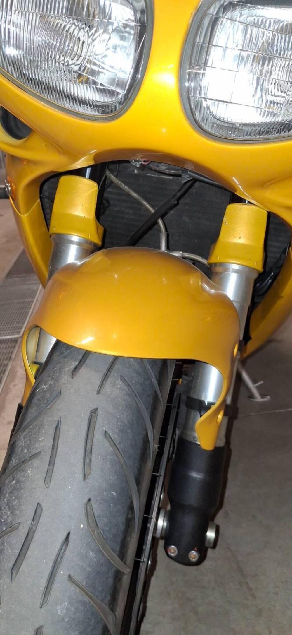 Triumph Daytona 955 I (1999 - 01) (9)