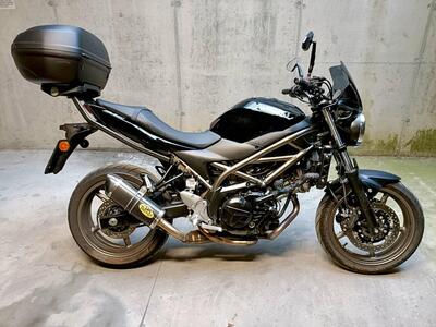 Suzuki SV650 (2021 - 24) usata