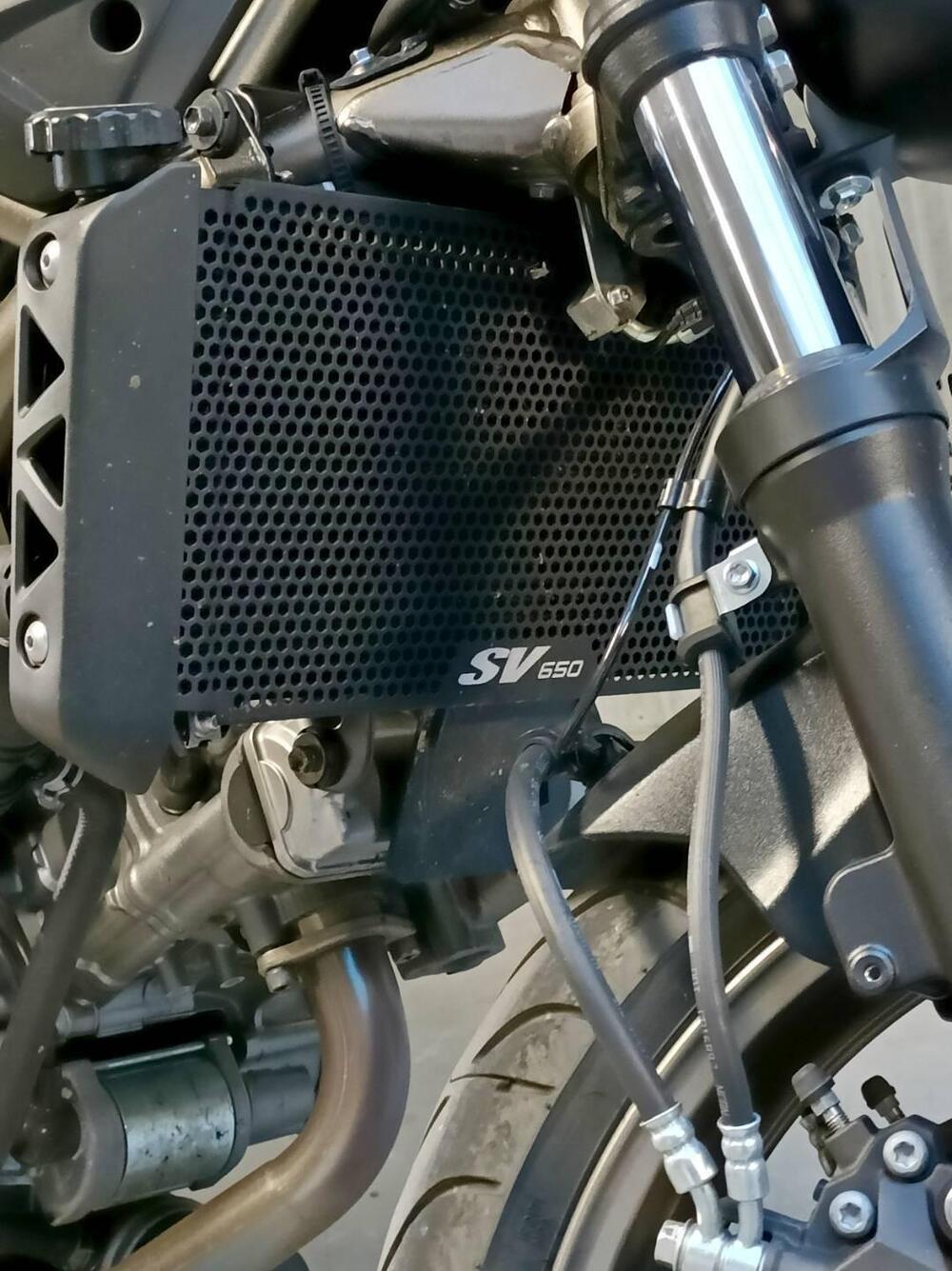 Suzuki SV650 (2021 - 24) (8)