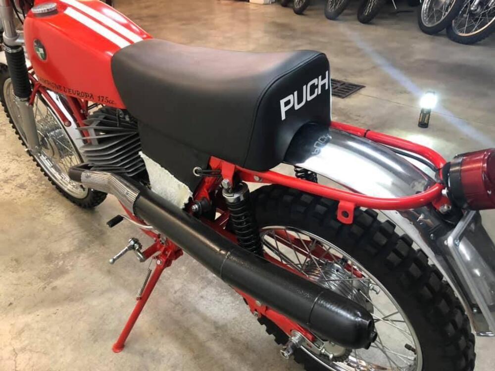 Puch MC 175 (8)