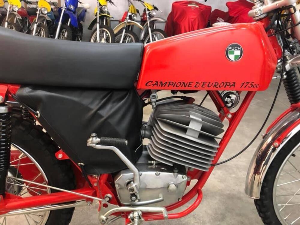 Puch MC 175 (14)