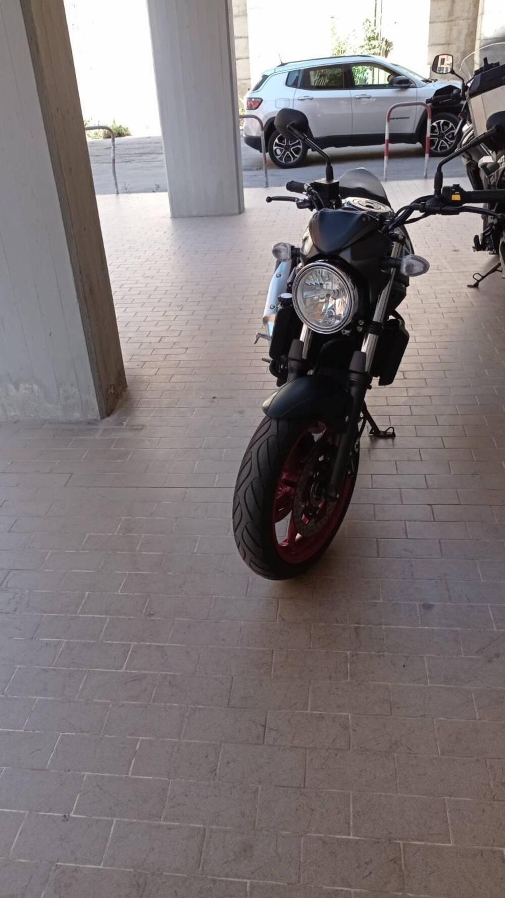 Suzuki SV650 (2021 - 24) (3)