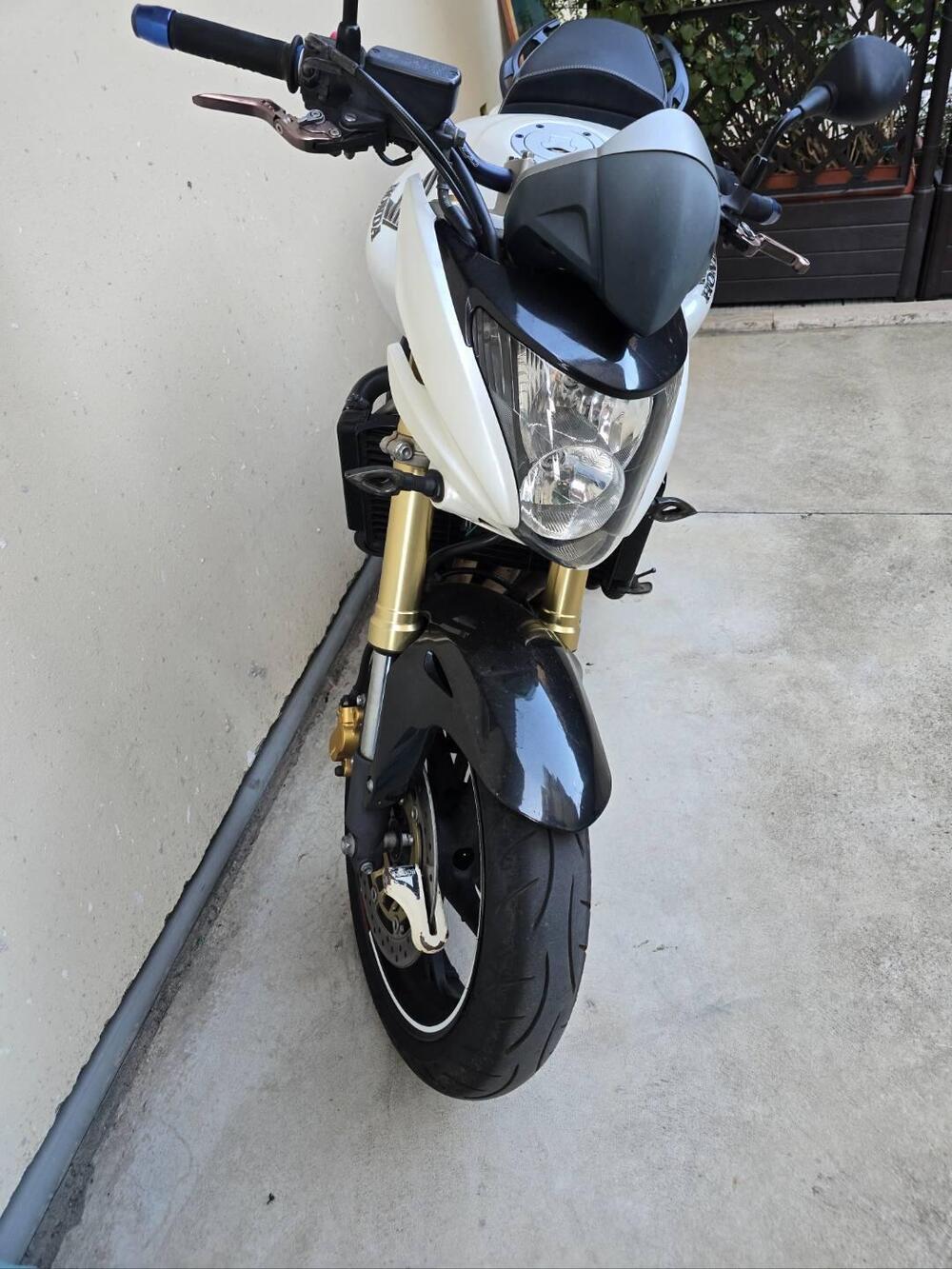 Honda Hornet 600 (2007 - 10) (6)