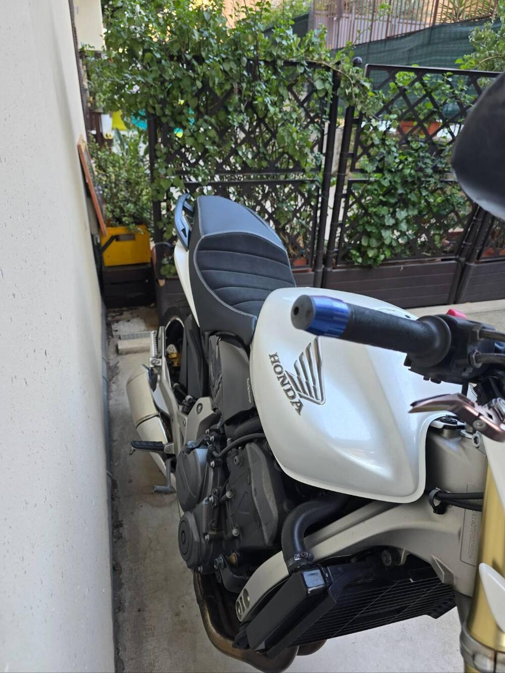 Honda Hornet 600 (2007 - 10) (7)