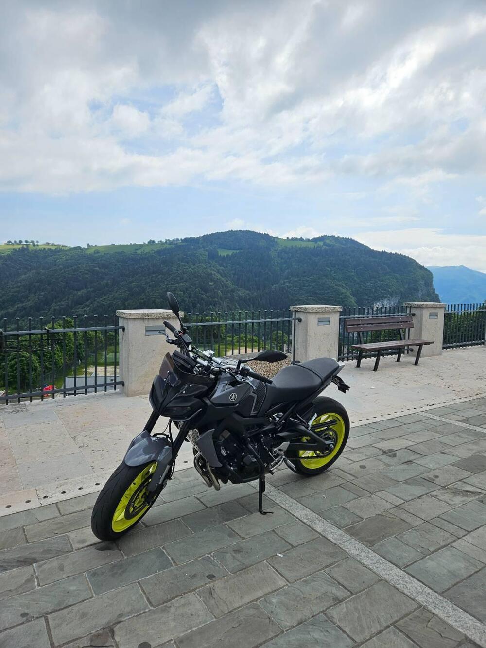 Yamaha MT-09 (2017 - 20) (3)