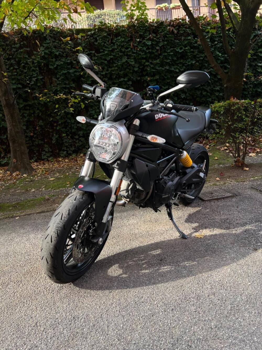 Ducati Monster 797 Plus (2019) (3)