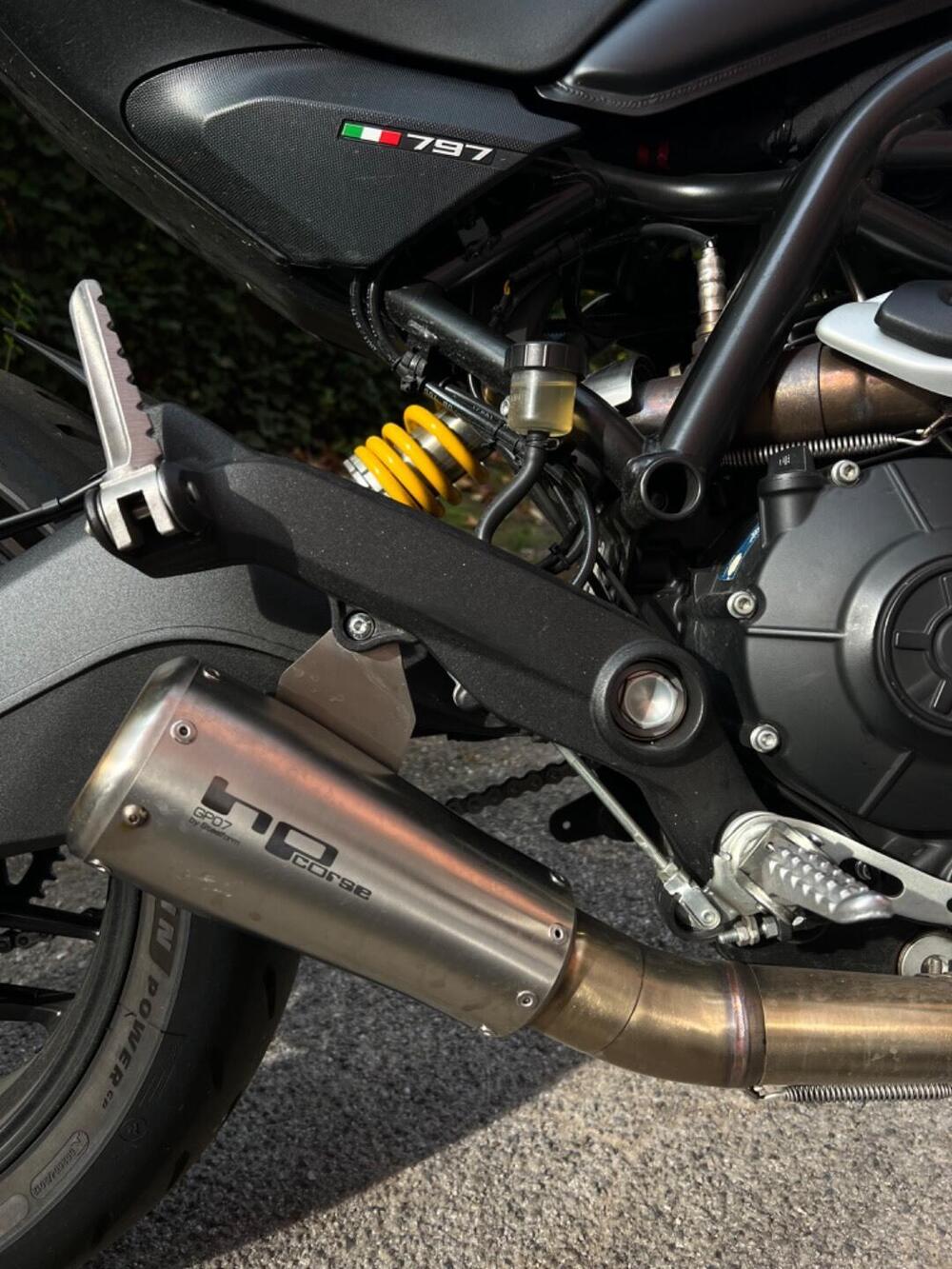 Ducati Monster 797 Plus (2019) (4)