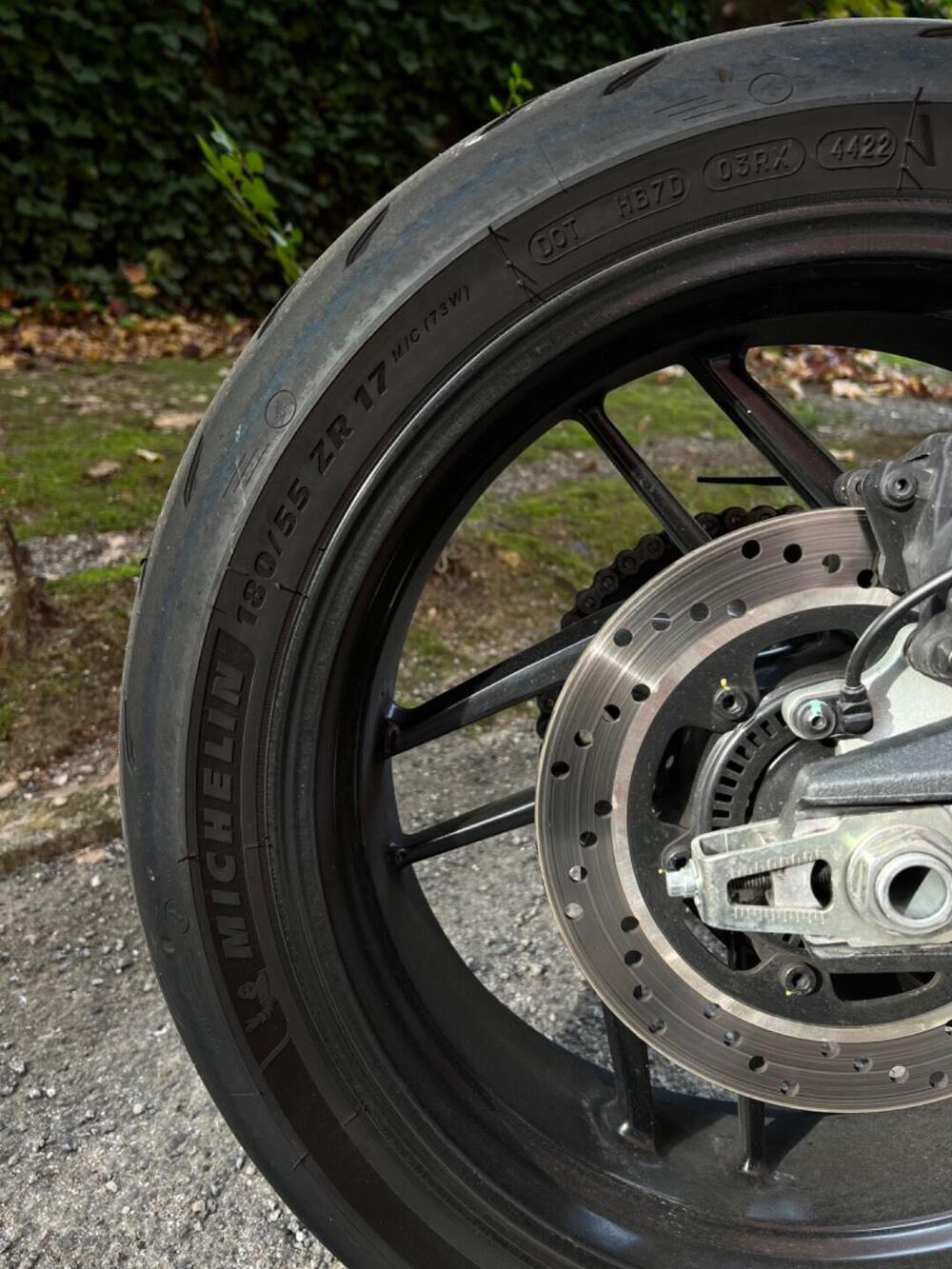 Ducati Monster 797 Plus (2019) (5)