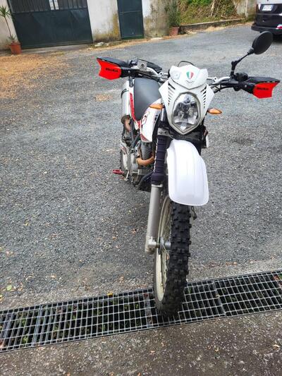 Betamotor Alp 4.0 (2008 - 17) usata