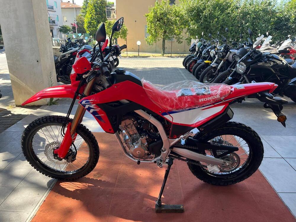 Honda CRF 300 L (2025) (5)