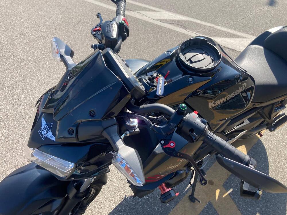 Kawasaki Z 650 Sport (2021 - 24) (6)