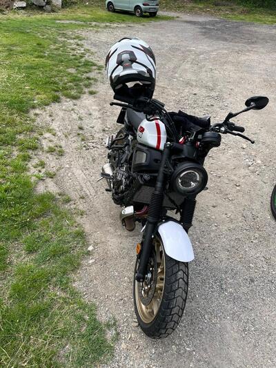 Yamaha XSR 700 XTribute (2021) usata