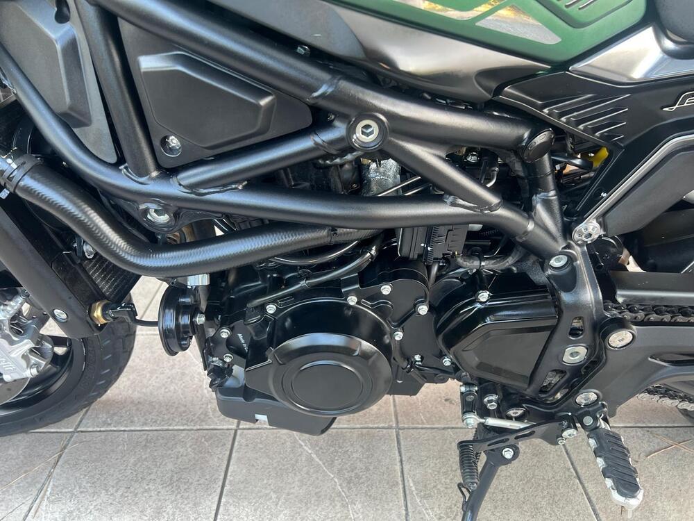 Benelli Leoncino 800 (2022 - 26) (14)