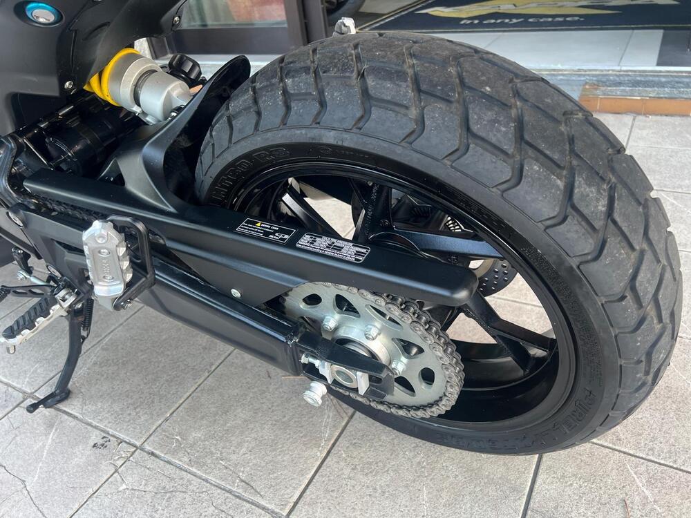 Benelli Leoncino 800 (2022 - 26) (18)