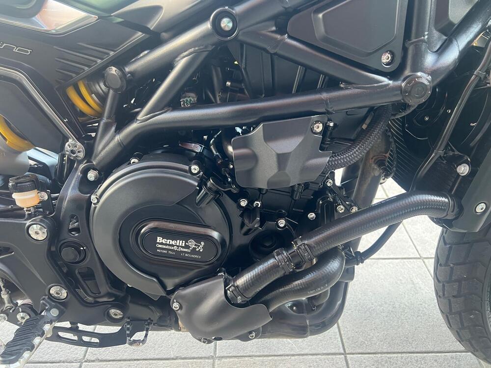 Benelli Leoncino 800 (2022 - 26) (15)