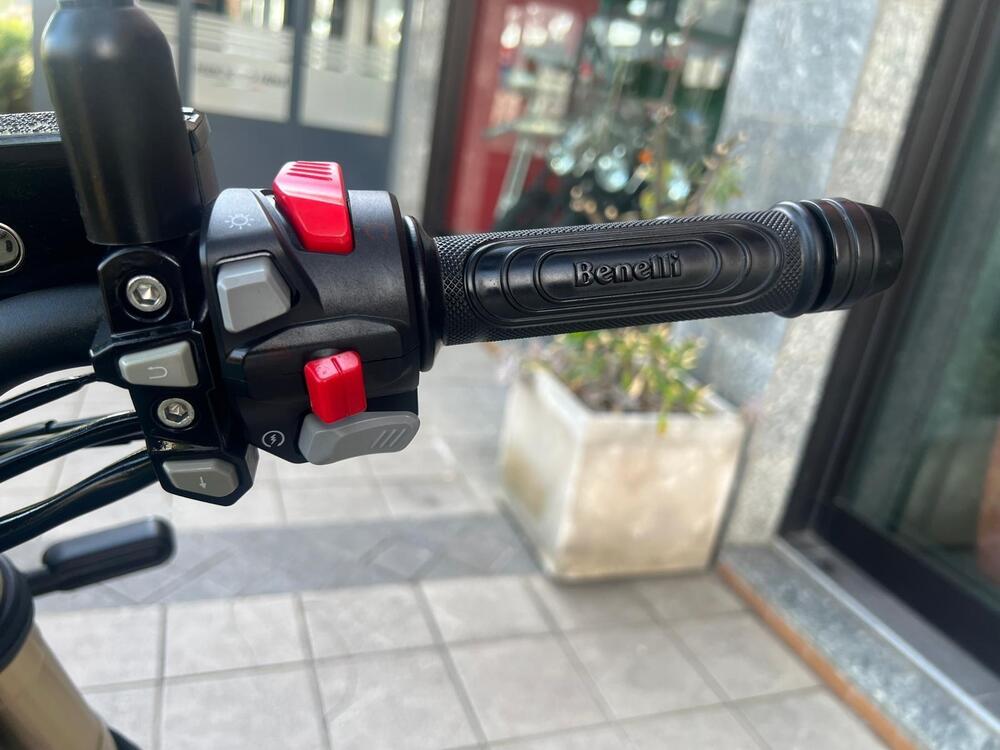 Benelli Leoncino 800 (2022 - 26) (13)