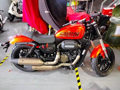 QJ Motor SRV 300 (2023 - 25) nuova