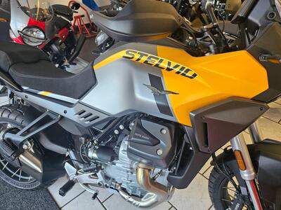 Moto Guzzi Stelvio (2024 - 25) usata