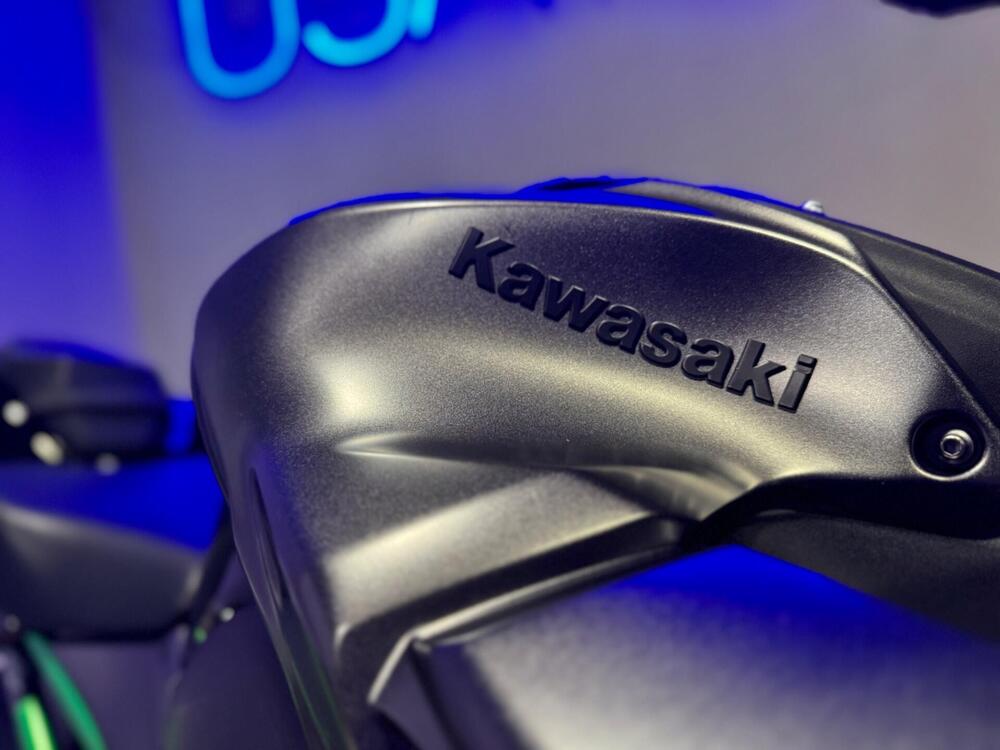Kawasaki Z 900 (2021 - 24) (9)