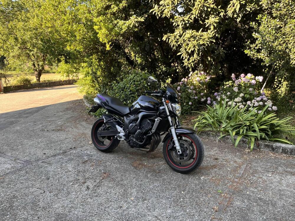 Yamaha FZ6 (2004 - 07)