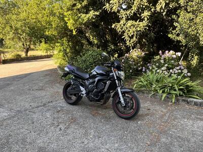 Yamaha FZ6 (2004 - 07) usata