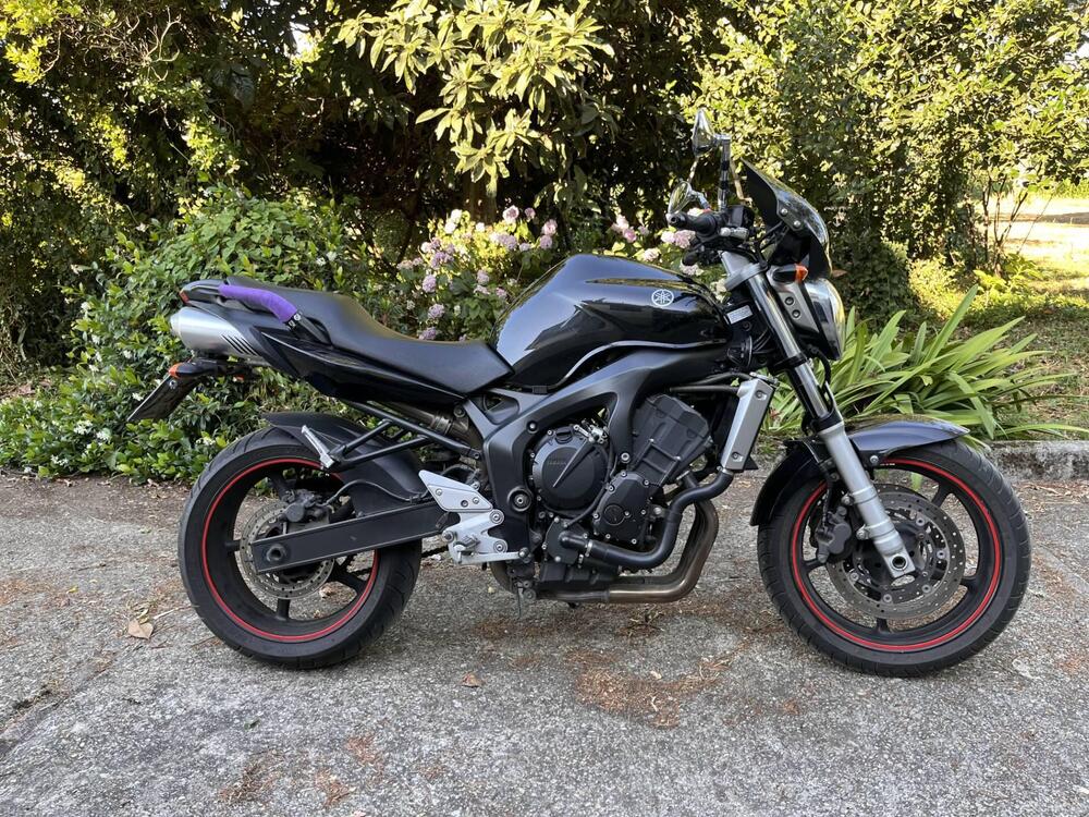 Yamaha FZ6 (2004 - 07) (2)