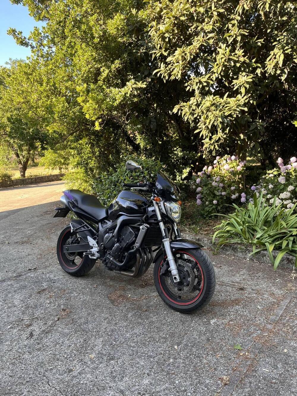 Yamaha FZ6 (2004 - 07) (4)