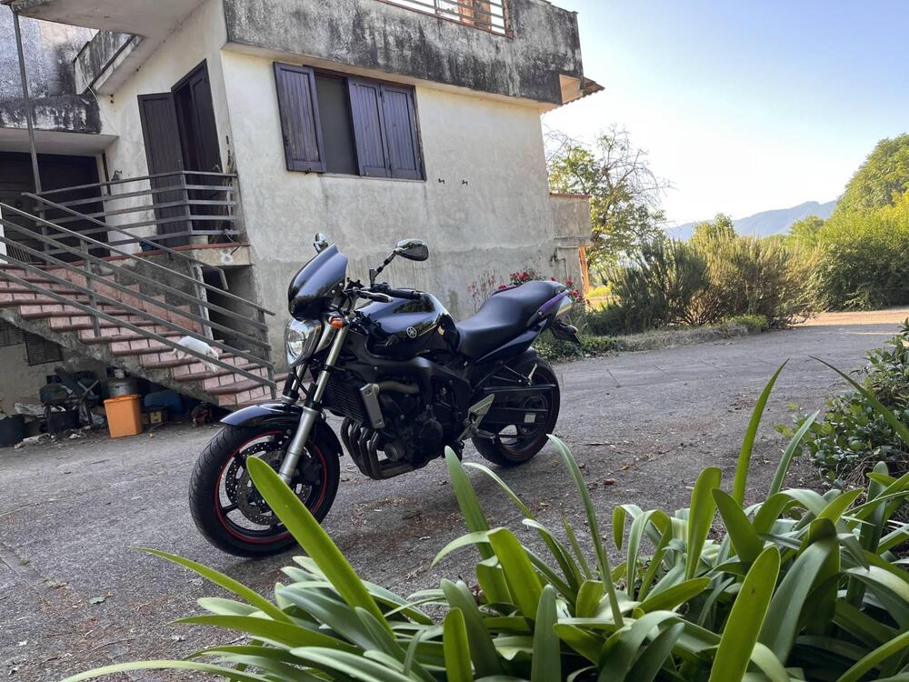 Yamaha FZ6 (2004 - 07) (5)