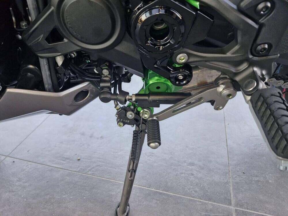 Kawasaki Z 900 (2025 - 26) (9)