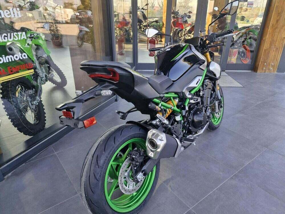Kawasaki Z 900 (2025 - 26) (11)