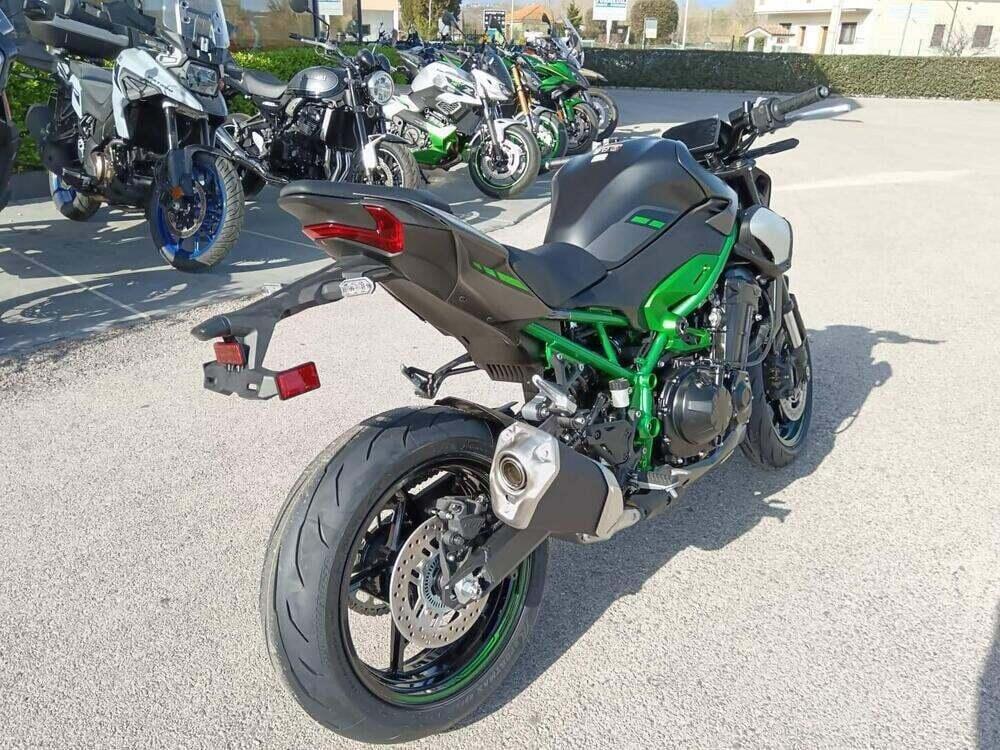 Kawasaki Z 900 A2 (2025 - 26) (5)
