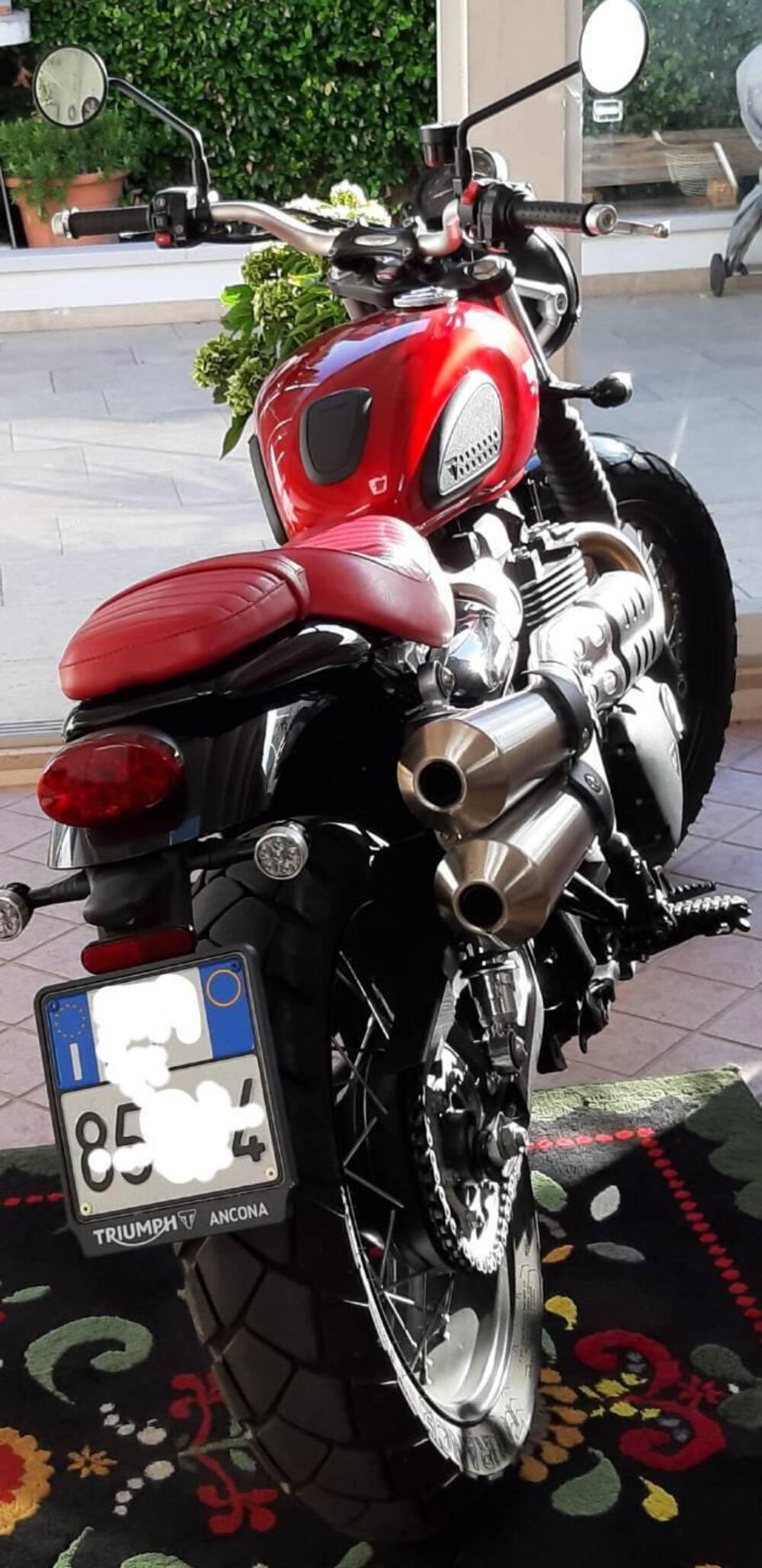 Triumph Street Scrambler 900 (2019 - 20)