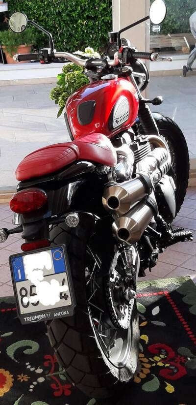 Triumph Street Scrambler 900 (2019 - 20) usata