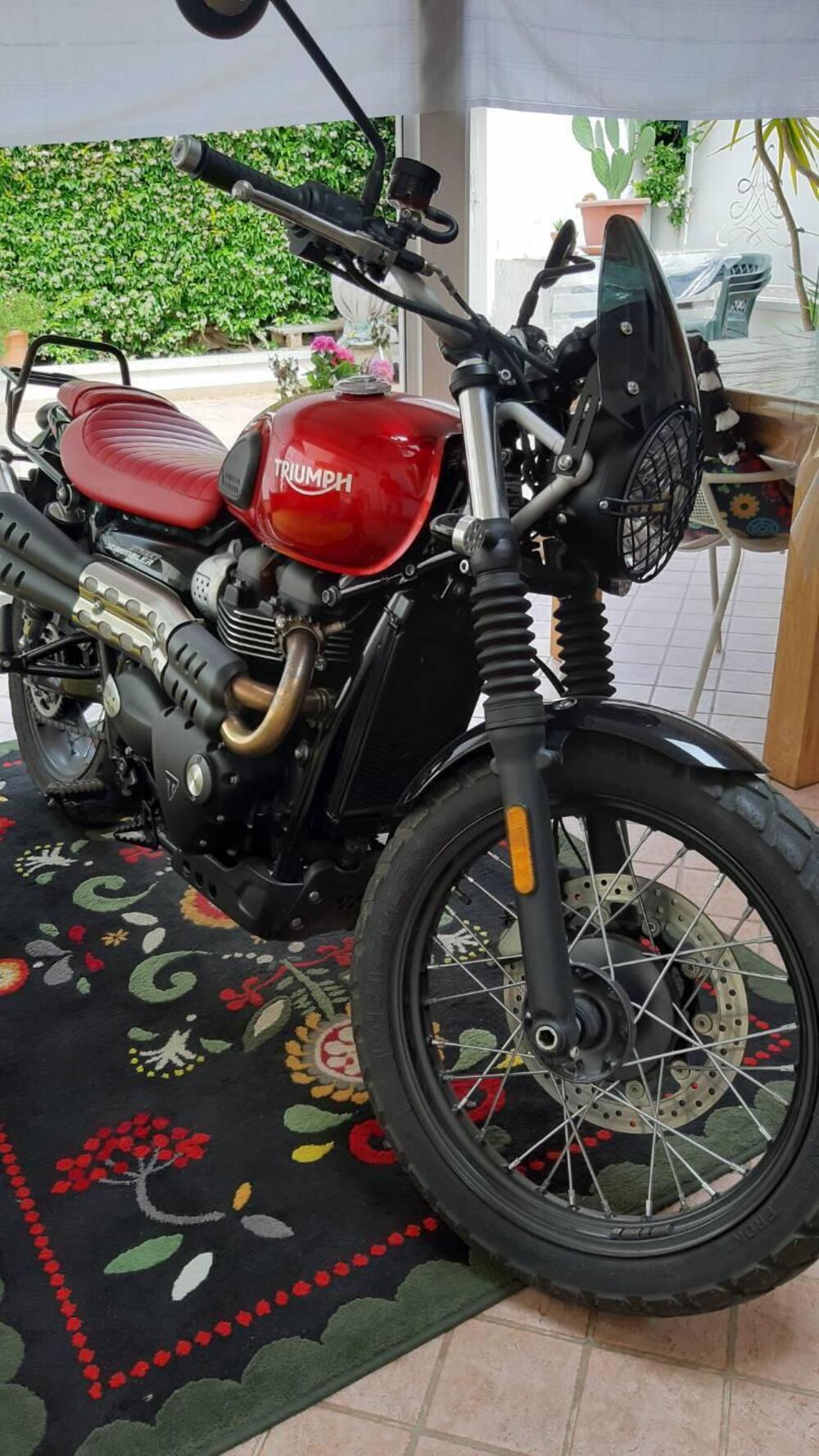 Triumph Street Scrambler 900 (2019 - 20) (3)