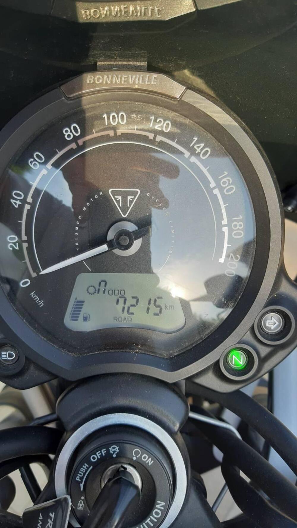 Triumph Street Scrambler 900 (2019 - 20) (8)