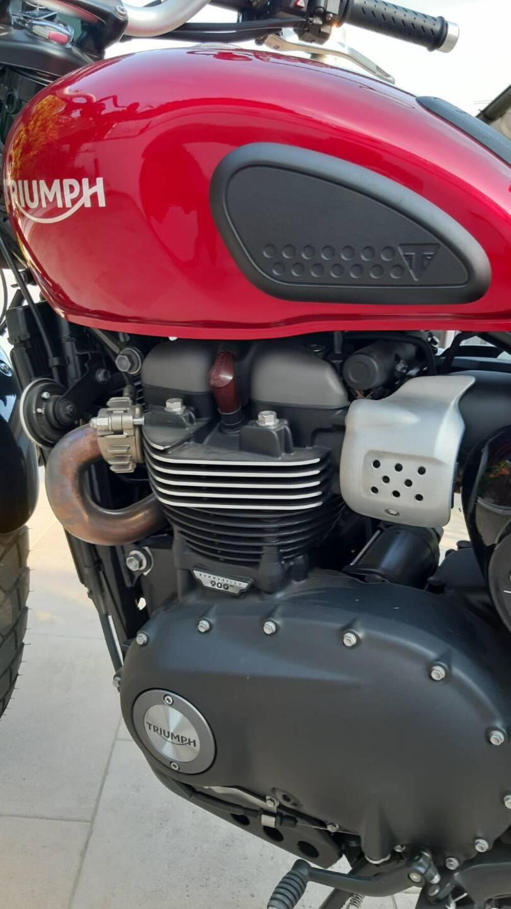 Triumph Street Scrambler 900 (2019 - 20) (11)