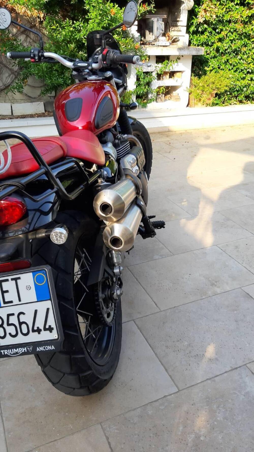 Triumph Street Scrambler 900 (2019 - 20) (12)