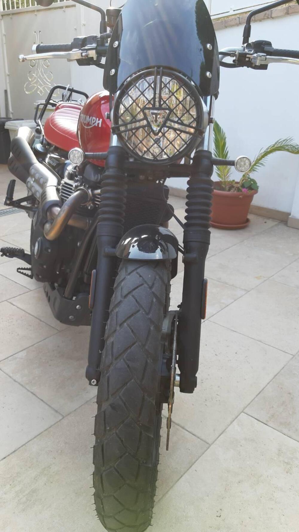 Triumph Street Scrambler 900 (2019 - 20) (8)