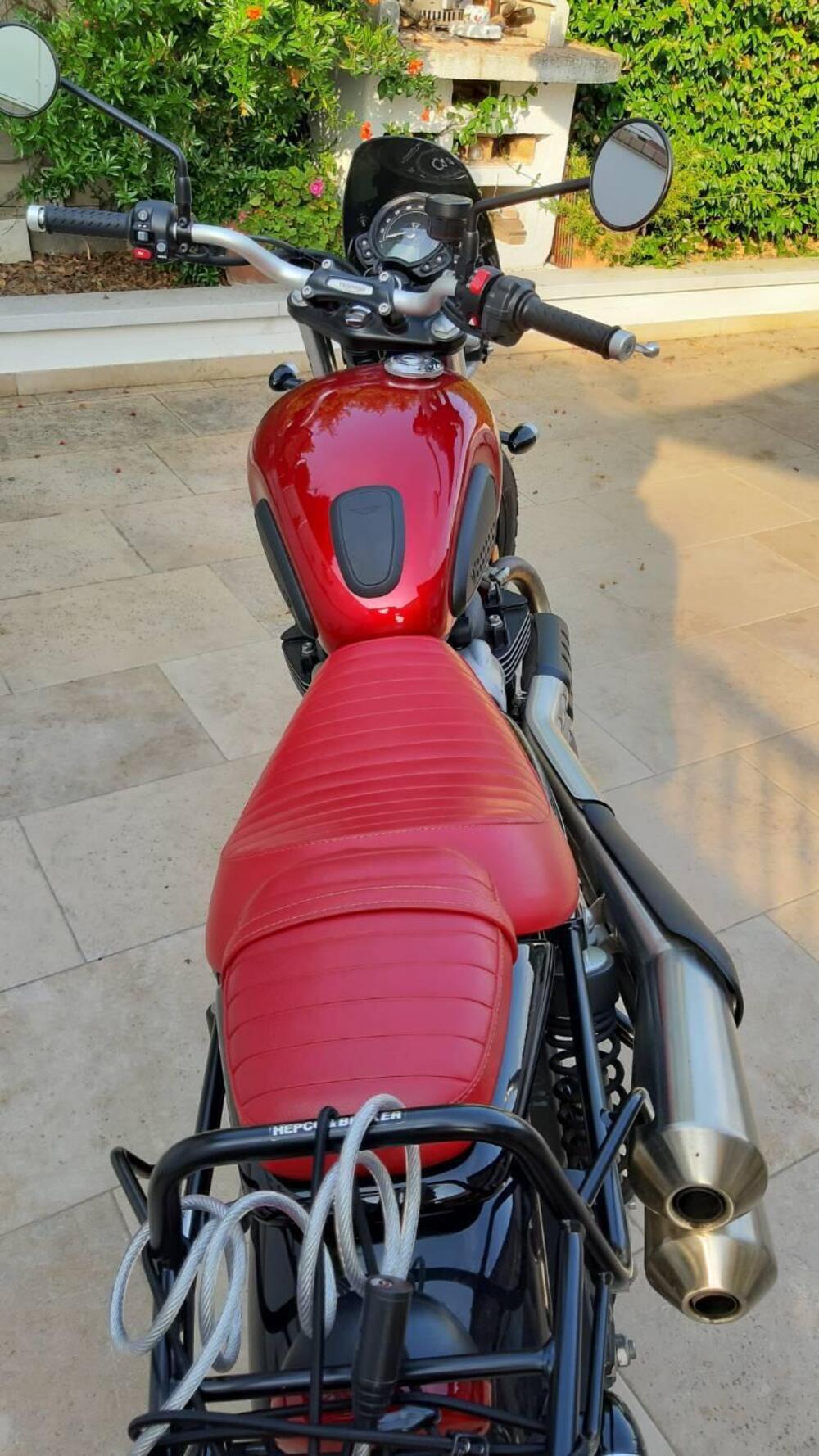 Triumph Street Scrambler 900 (2019 - 20) (9)