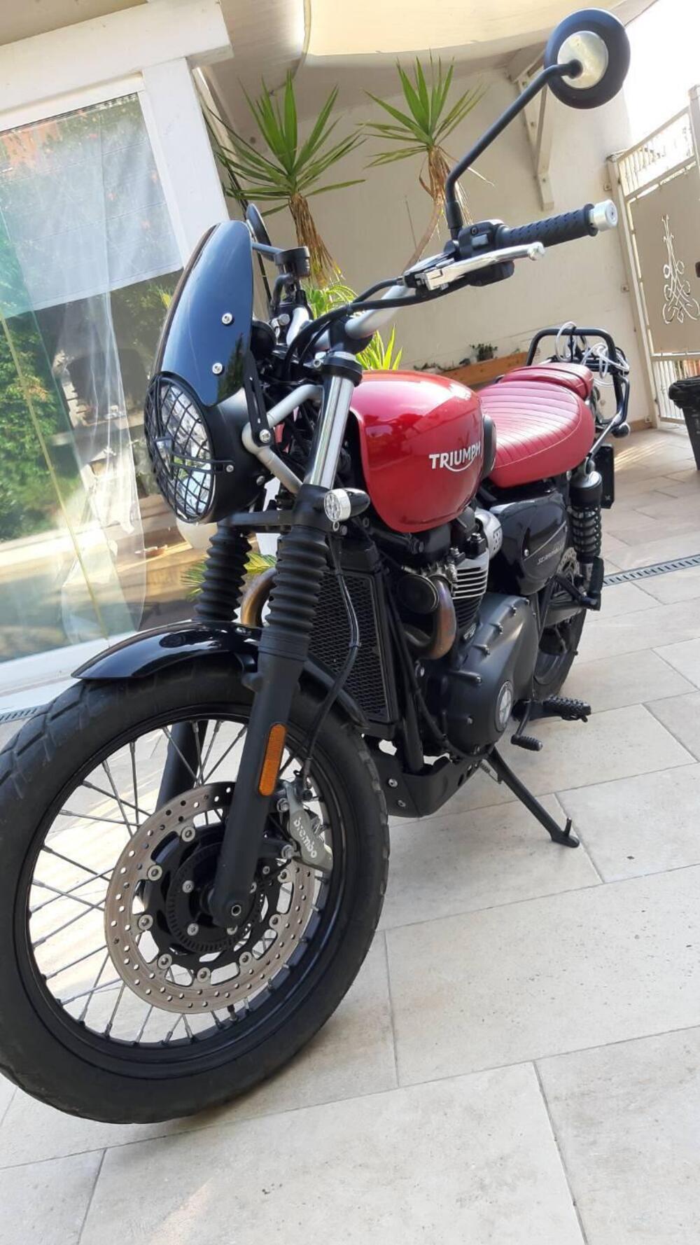 Triumph Street Scrambler 900 (2019 - 20) (11)