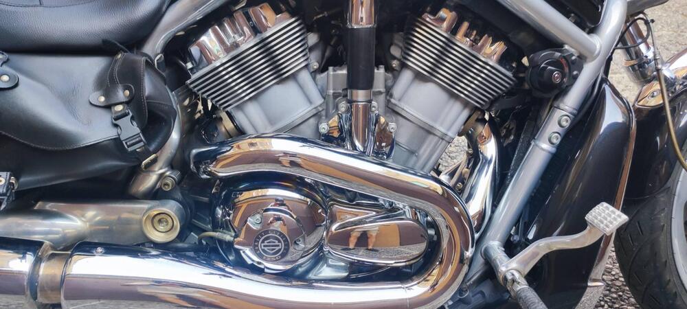 Harley-Davidson 1250 V-Rod (2008 - 12) - VRSCAW (13)