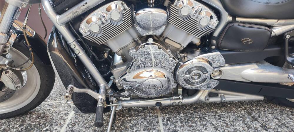 Harley-Davidson 1250 V-Rod (2008 - 12) - VRSCAW (14)