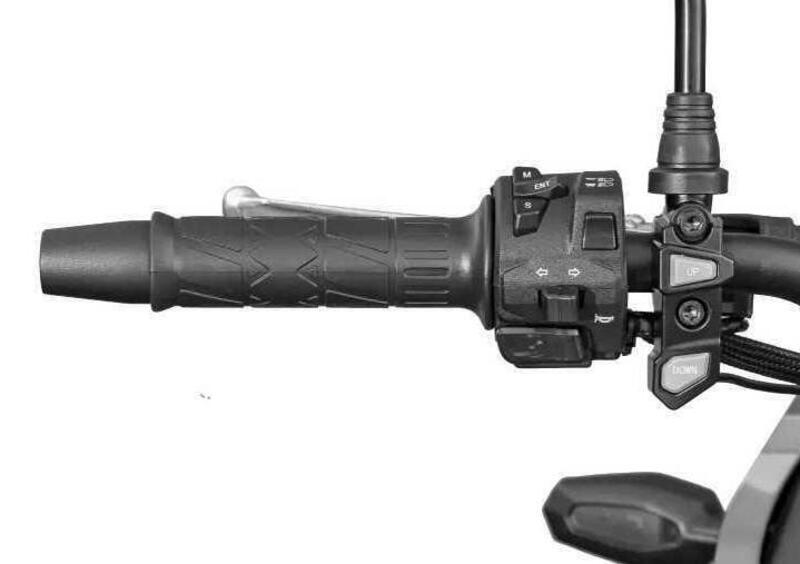 Cyclone RX650 RX650 (2025) (12)