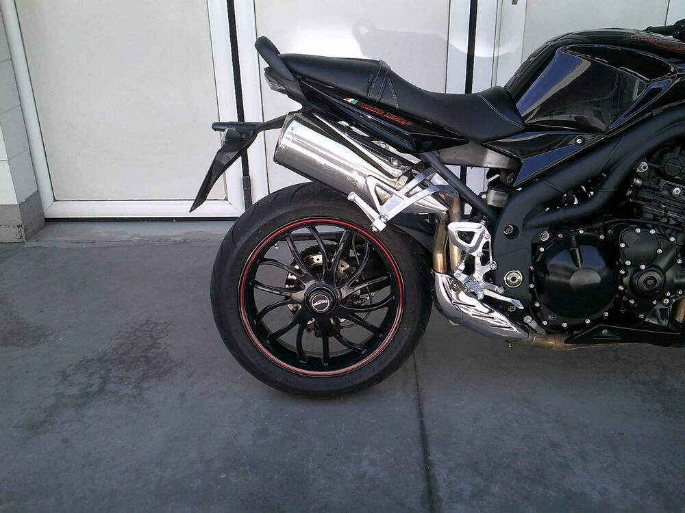 Triumph Speed Triple 1050 SE 15th Anniversary (2009 -10) (6)