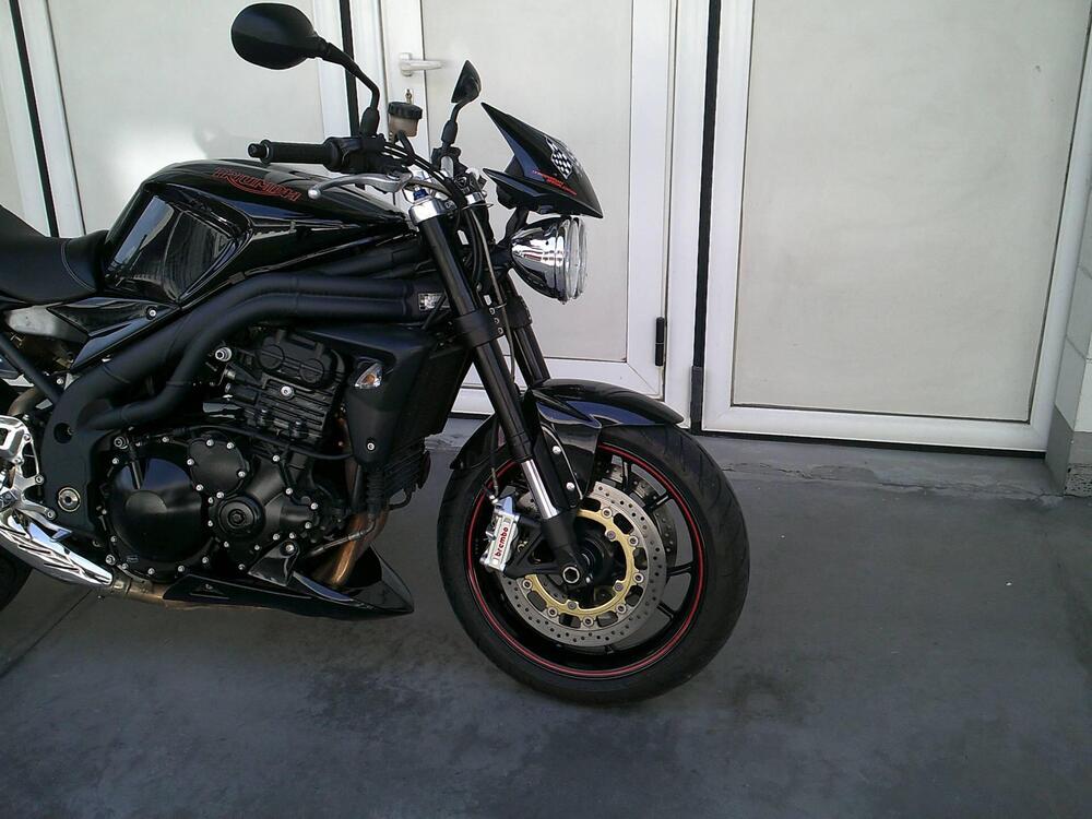 Triumph Speed Triple 1050 SE 15th Anniversary (2009 -10) (8)