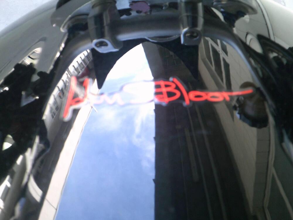 Triumph Speed Triple 1050 SE 15th Anniversary (2009 -10) (9)