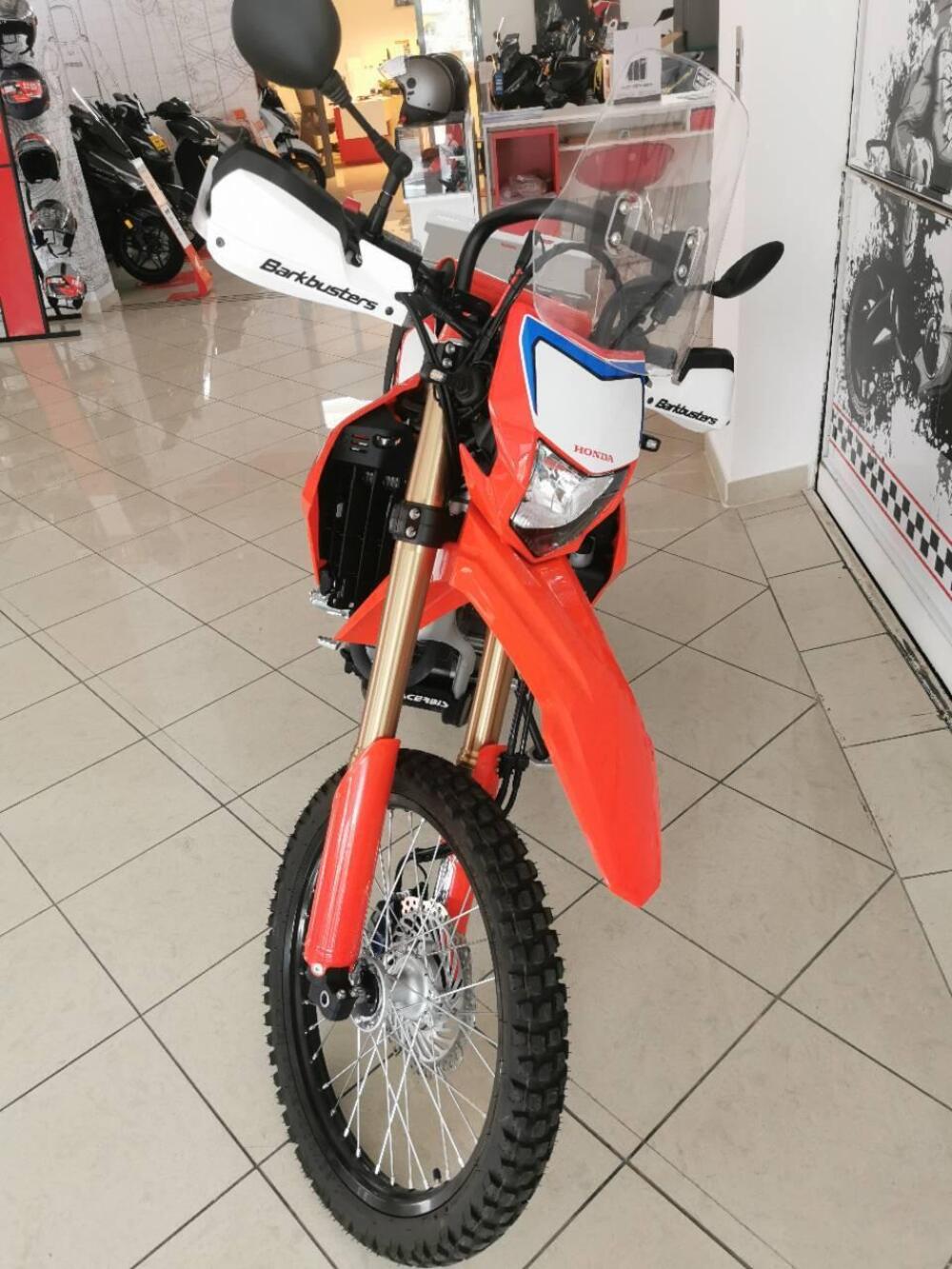 Honda CRF 300 L (2021 - 24) (5)