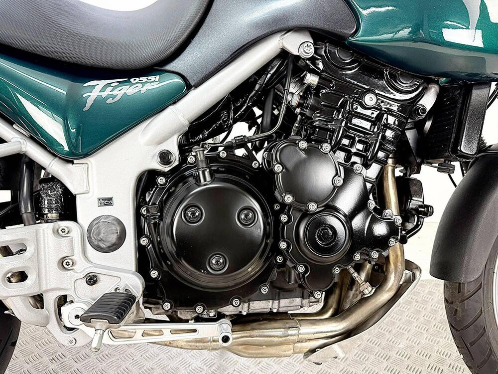 Triumph Tiger 955 (2002 - 06) (8)