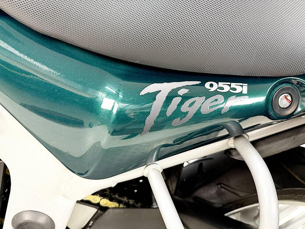 Triumph Tiger 955 (2002 - 06) (15)