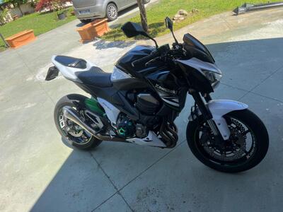 Kawasaki Z 800 (2012 - 13) usata